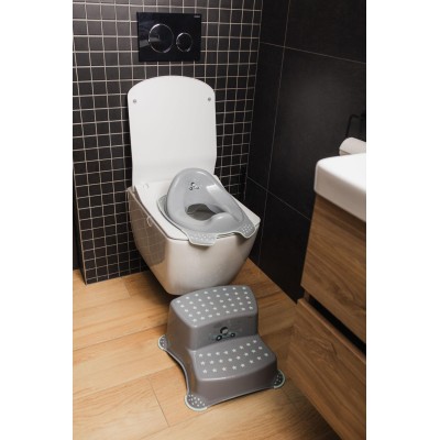 ZOPA Adaptér na WC "Racer", Grey/Mint Grey/Mint